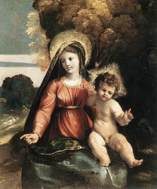 DOSSI, Dosso Madonna and Child ddfhf Norge oil painting art